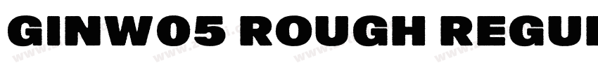 GinW05 Rough Regular字体转换